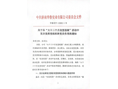 圍繞中心大局，亮出黨員本色，努力攻堅(jiān)創(chuàng)效
